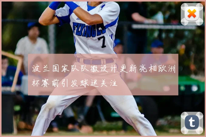 波兰国家队队徽设计更新亮相欧洲杯赛前引发球迷关注