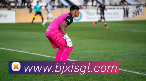 巅峰国标pg官网入口平台生态图